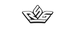 RSG LOGO